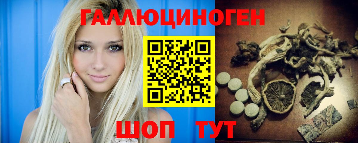 Галлюциногенные грибы GOLDEN TEACHER  Вход с VPN  Звенигород 